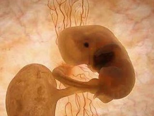 山东烟台三大助孕公司：创先服务、关爱不孕不育家庭