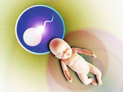 女性子宫内膜过厚东南大学附属中大医院做三代试管预算八万块够不够？